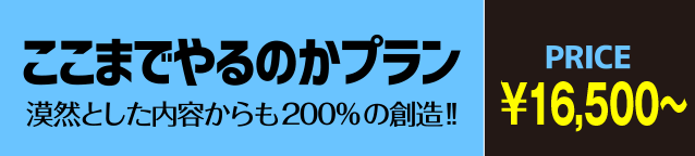 ここまでやるのかプラン:10,000円